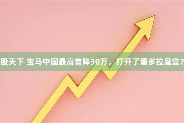股天下 宝马中国最高官降30万，打开了潘多拉魔盒？