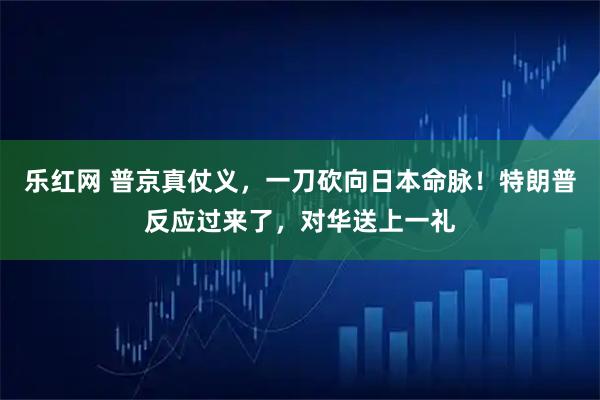 乐红网 普京真仗义，一刀砍向日本命脉！特朗普反应过来了，对华送上一礼