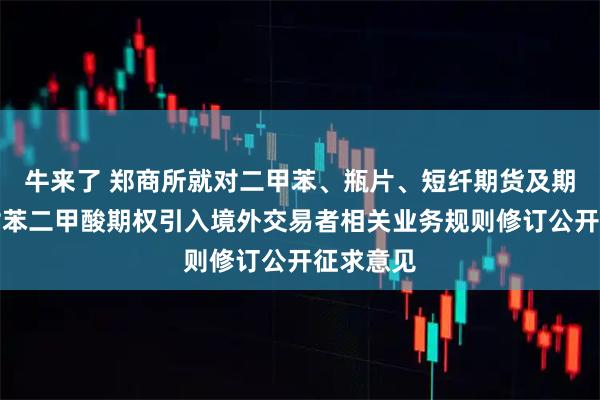 牛来了 郑商所就对二甲苯、瓶片、短纤期货及期权、精对苯二甲酸期权引入境外交易者相关业务规则修订公开征求意见