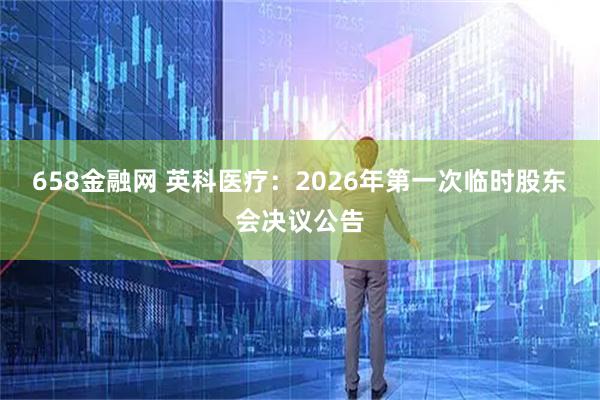 658金融网 英科医疗：2026年第一次临时股东会决议公告