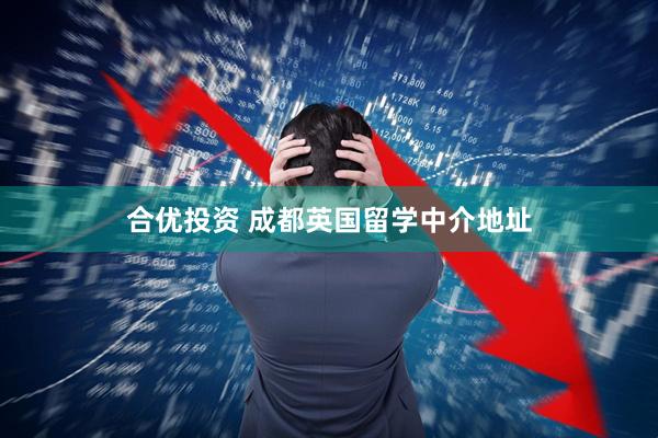 合优投资 成都英国留学中介地址