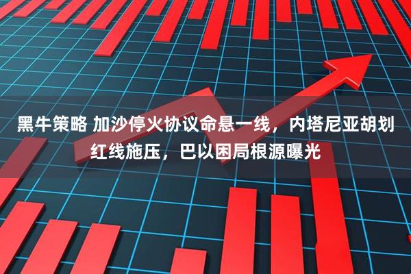 黑牛策略 加沙停火协议命悬一线，内塔尼亚胡划红线施压，巴以困局根源曝光