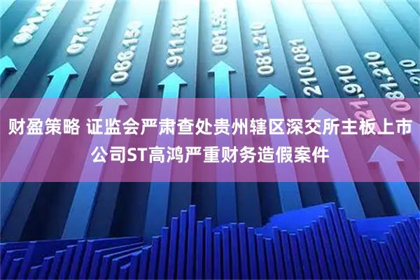 财盈策略 证监会严肃查处贵州辖区深交所主板上市公司ST高鸿严重财务造假案件