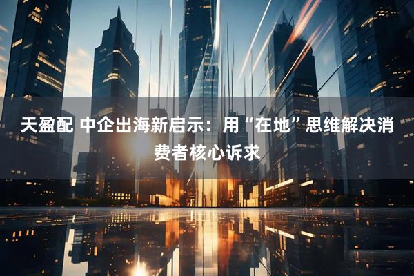 天盈配 中企出海新启示：用“在地”思维解决消费者核心诉求