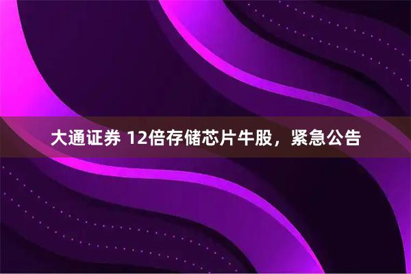 大通证券 12倍存储芯片牛股，紧急公告