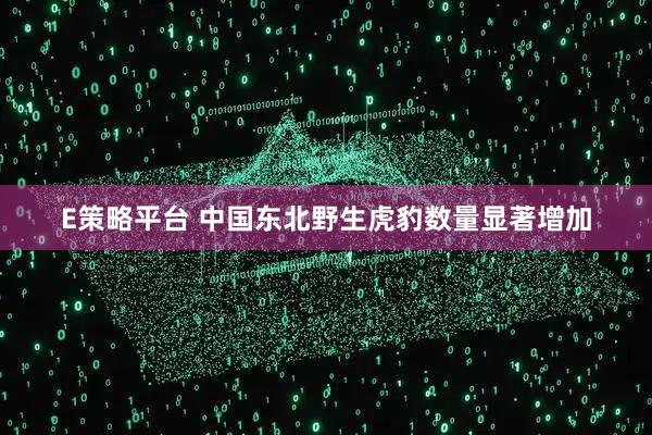 E策略平台 中国东北野生虎豹数量显著增加